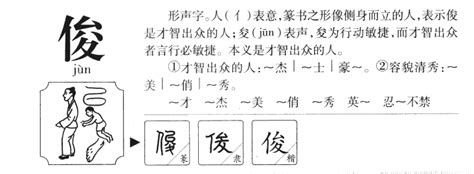 俊字五行|俊的意思